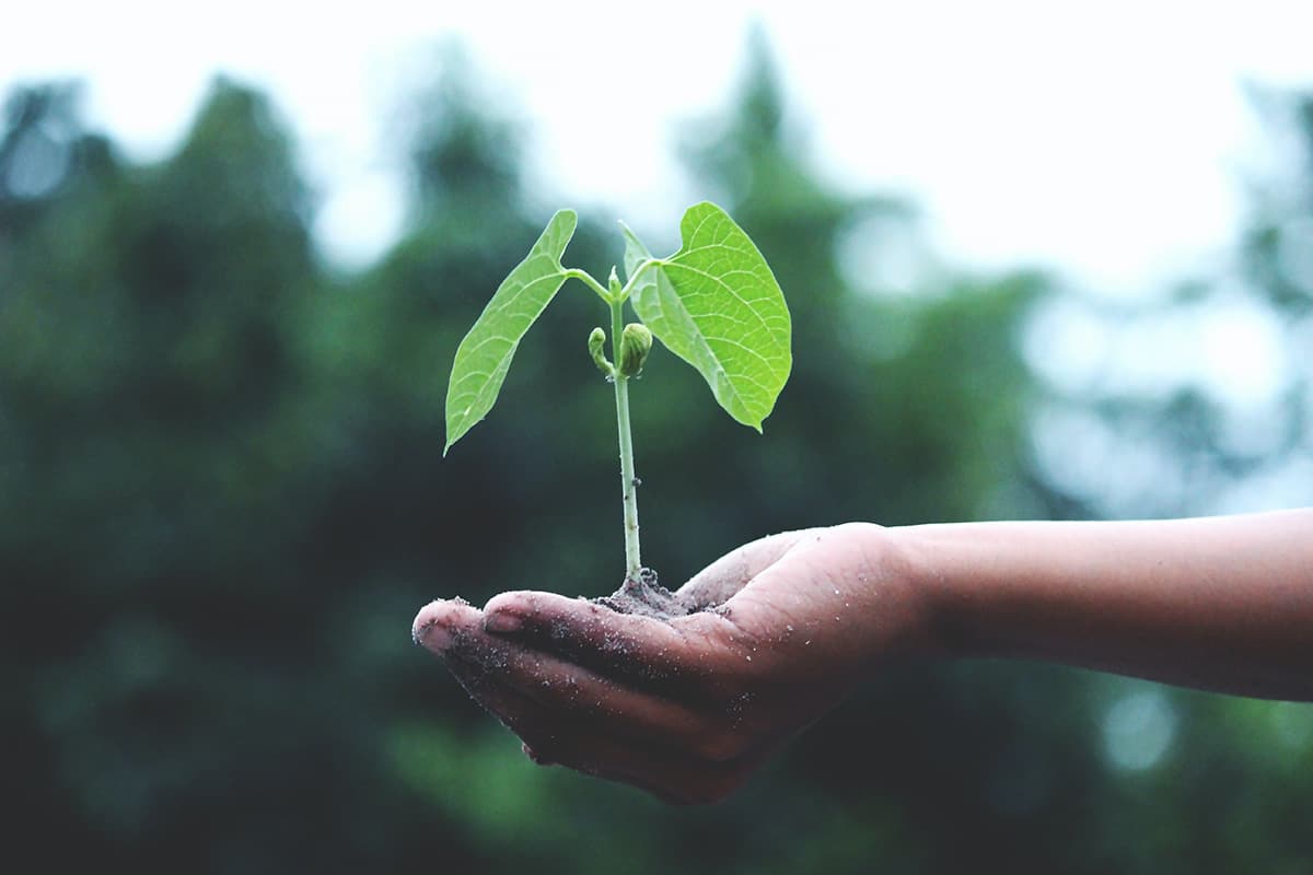 2021 Shopify Marketing Plan: 3 Powerful Growth Strategies