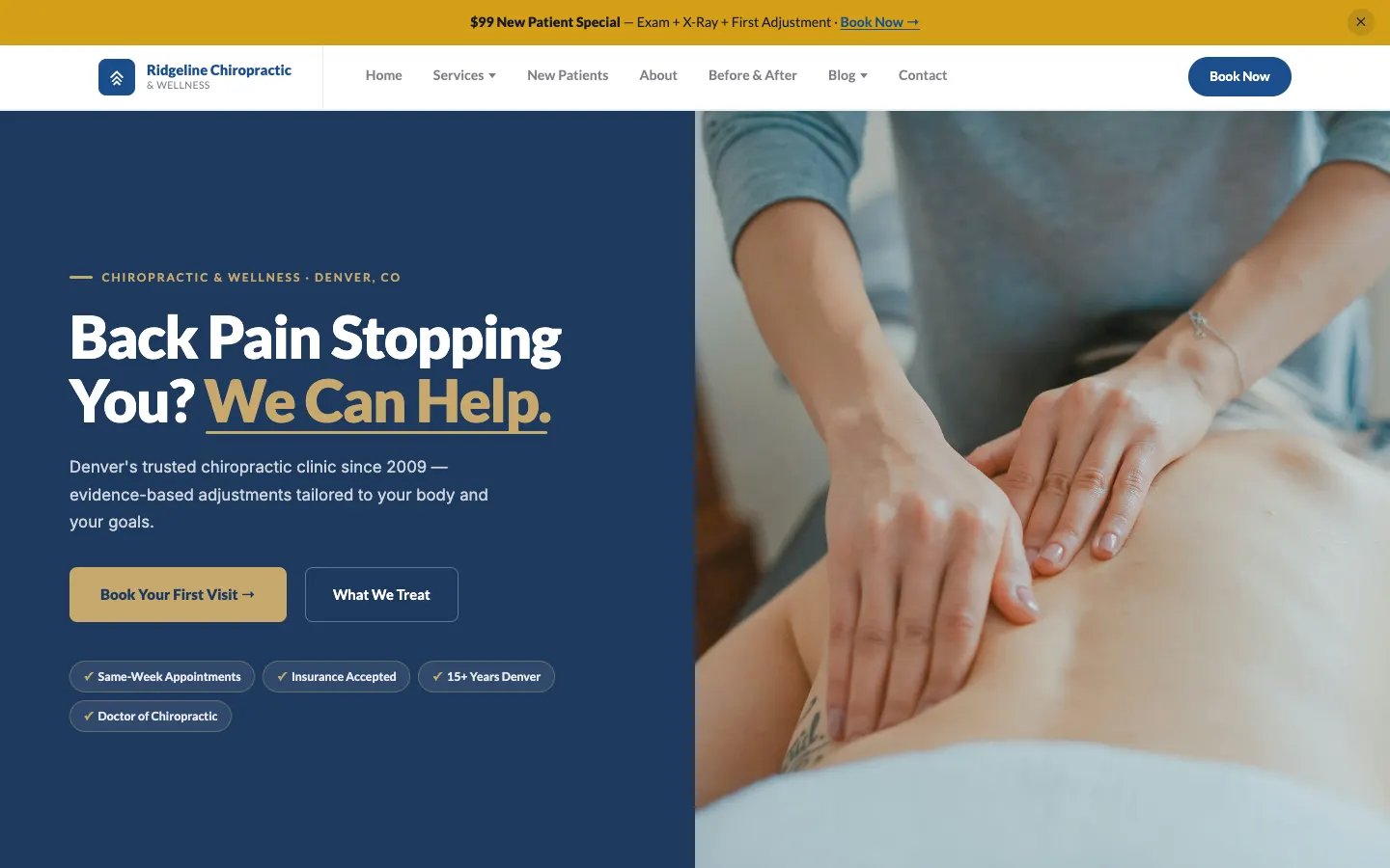 Chiropractic Care website demo built on WorkspaceCMS