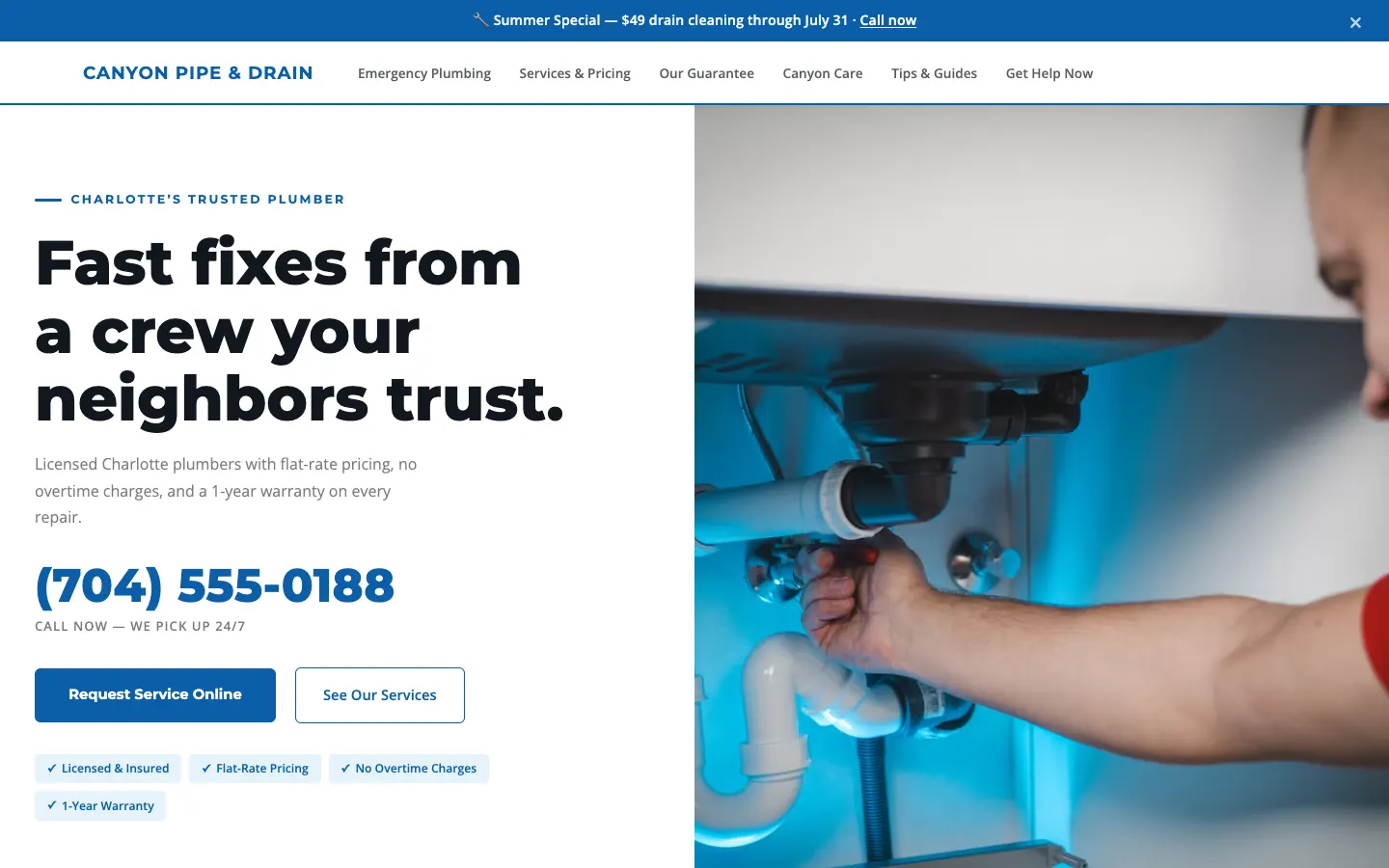 Plumbing & Emergency Service website demo built on WorkspaceCMS